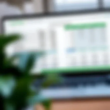 Screenshot of Excel cash flow template