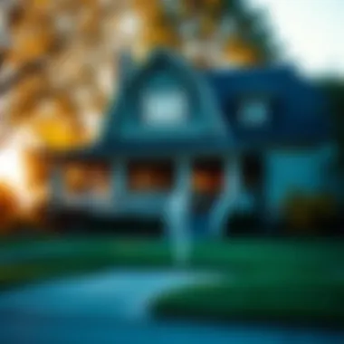 Essential Insights into Purchasing Foreclosure Homes Summary