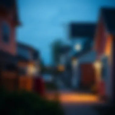 A peaceful neighborhood in a no income tax area reflecting community life