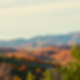 A scenic view of a no income tax state showcasing its vibrant landscape