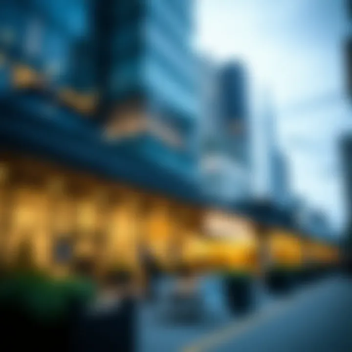 Exploring Top Capital Investment Firms Summary