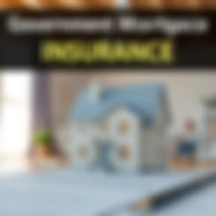 Graphic showcasing government-backed mortgage insurance options