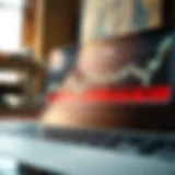 Overview of S&P 500 Index performance over time