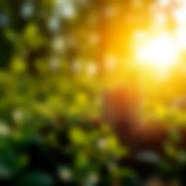 Trends in Green Investments Graph showcasing rising trends in green investments