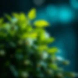 An abstract representation of environmental sustainability in finance