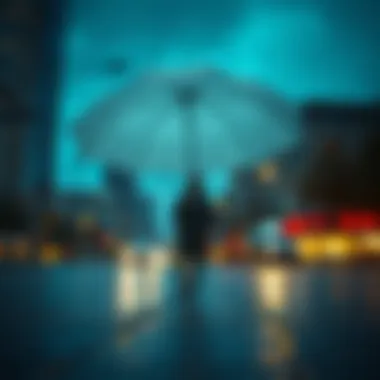 Umbrella Insurance: A Comprehensive Overview Summary