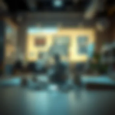 Conceptual depiction of Health Savings Accounts