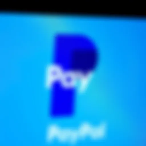 Overview of PayPal's logo and interface
