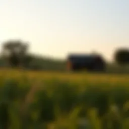 Rural landscape with a home
